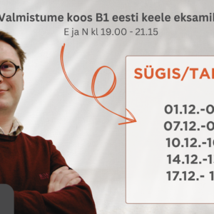 Eesti keele B1 tasemeeksamiks valmistumine (klassis ja veebis)